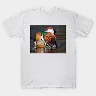 Mandarin Display T-Shirt